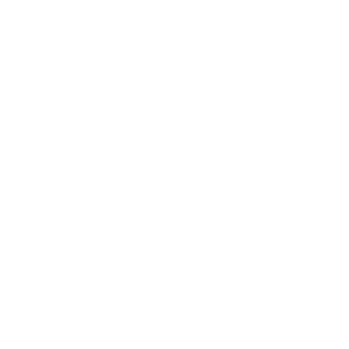 Ezelly Miami